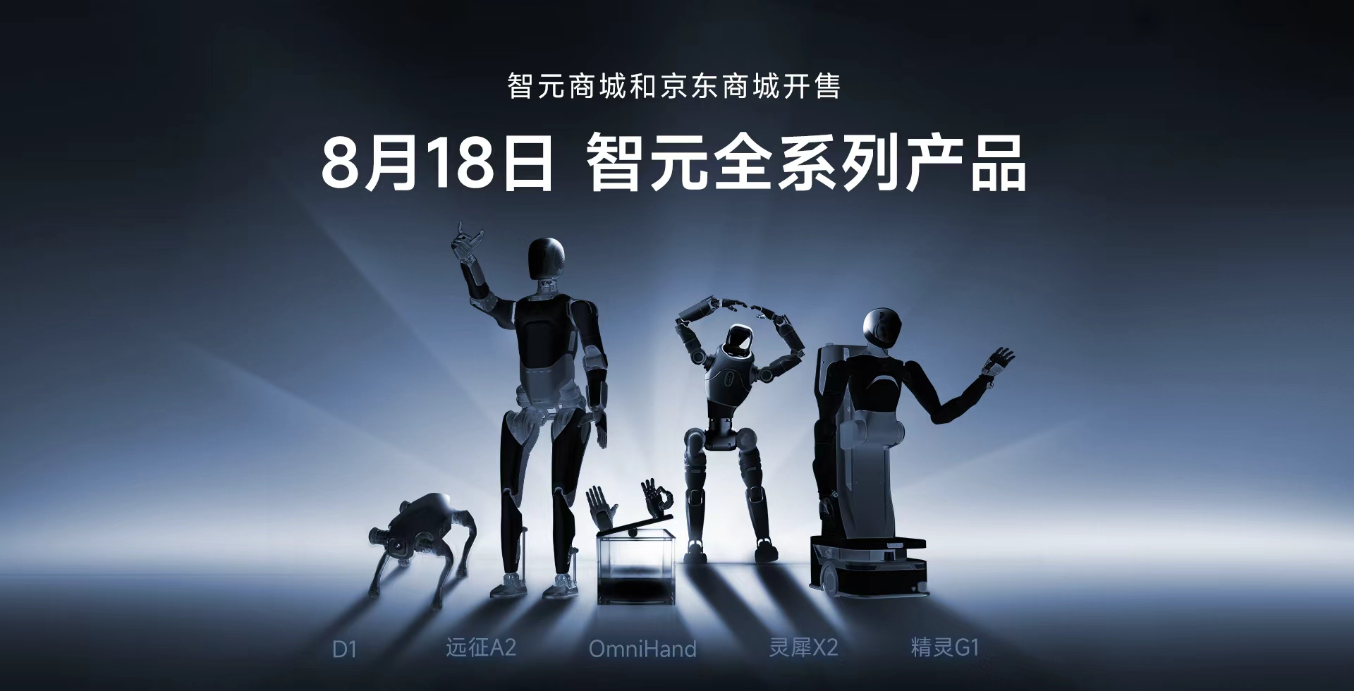 今年会全系列产品